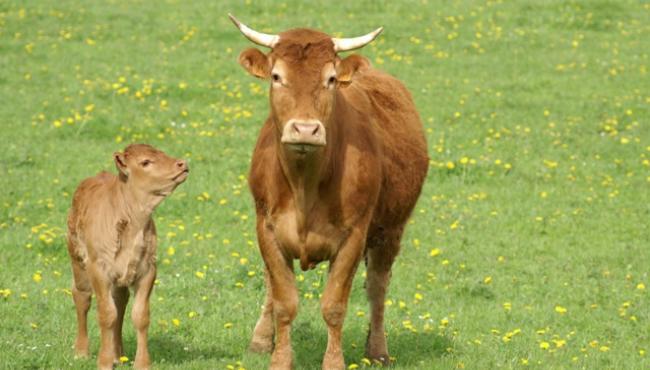 φωτ. αρχείου