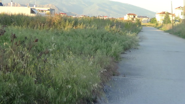 Κοπή χόρτων