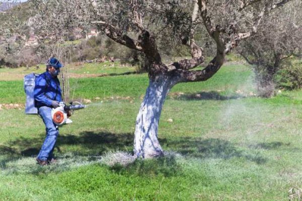 Διενέργεια γενικού δολωματικού ψεκασμού στο Δήμο Τεμπών