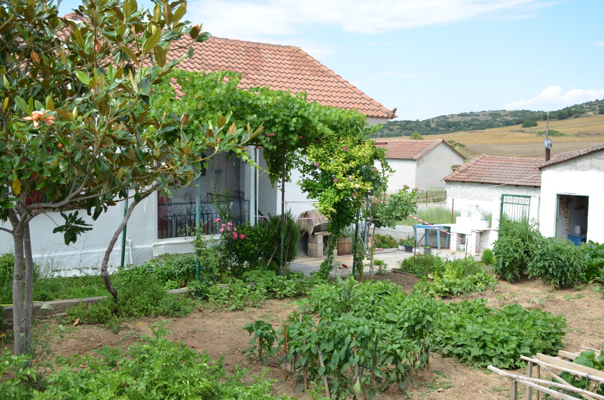 βουναινα-δολοφονια (22)