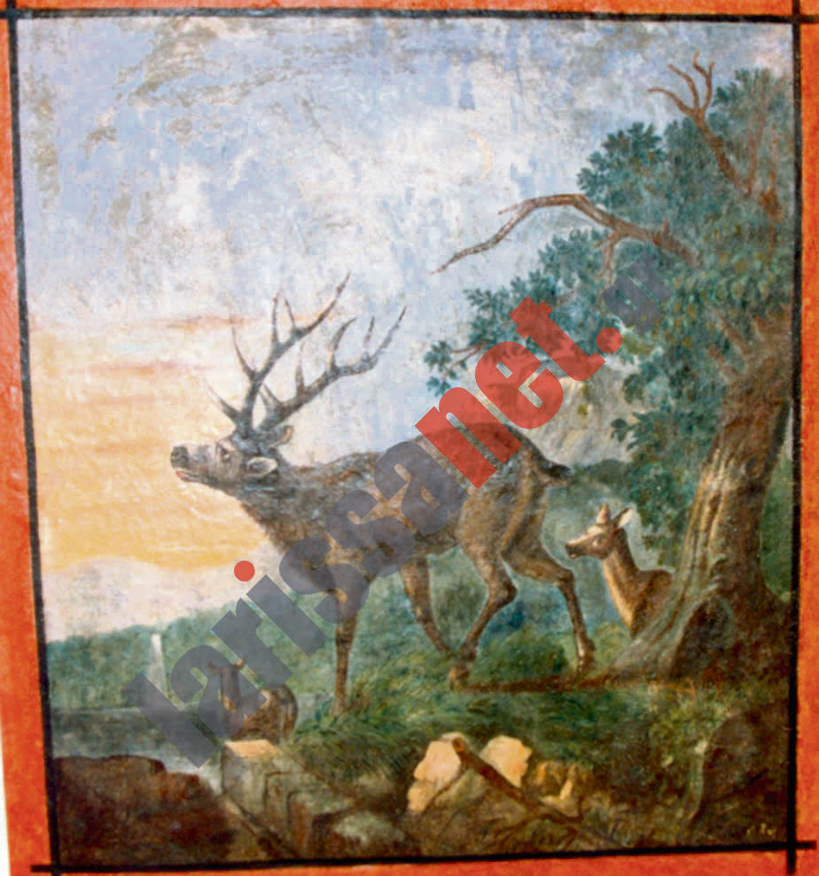 Αρχοντικό Φαβρ (11)