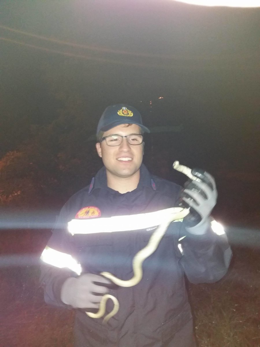 πυροσβεστες φιδι (3)