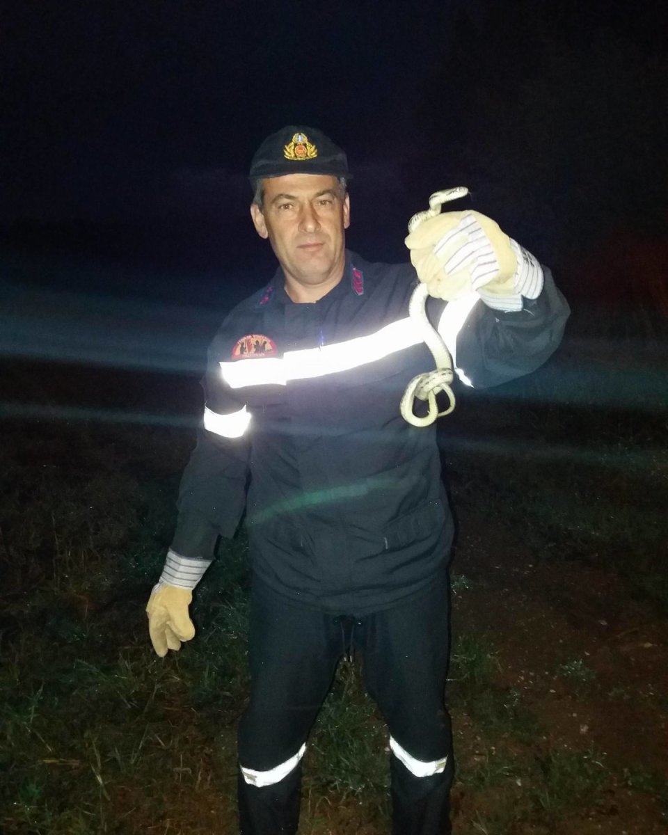 πυροσβεστες φιδι (1)