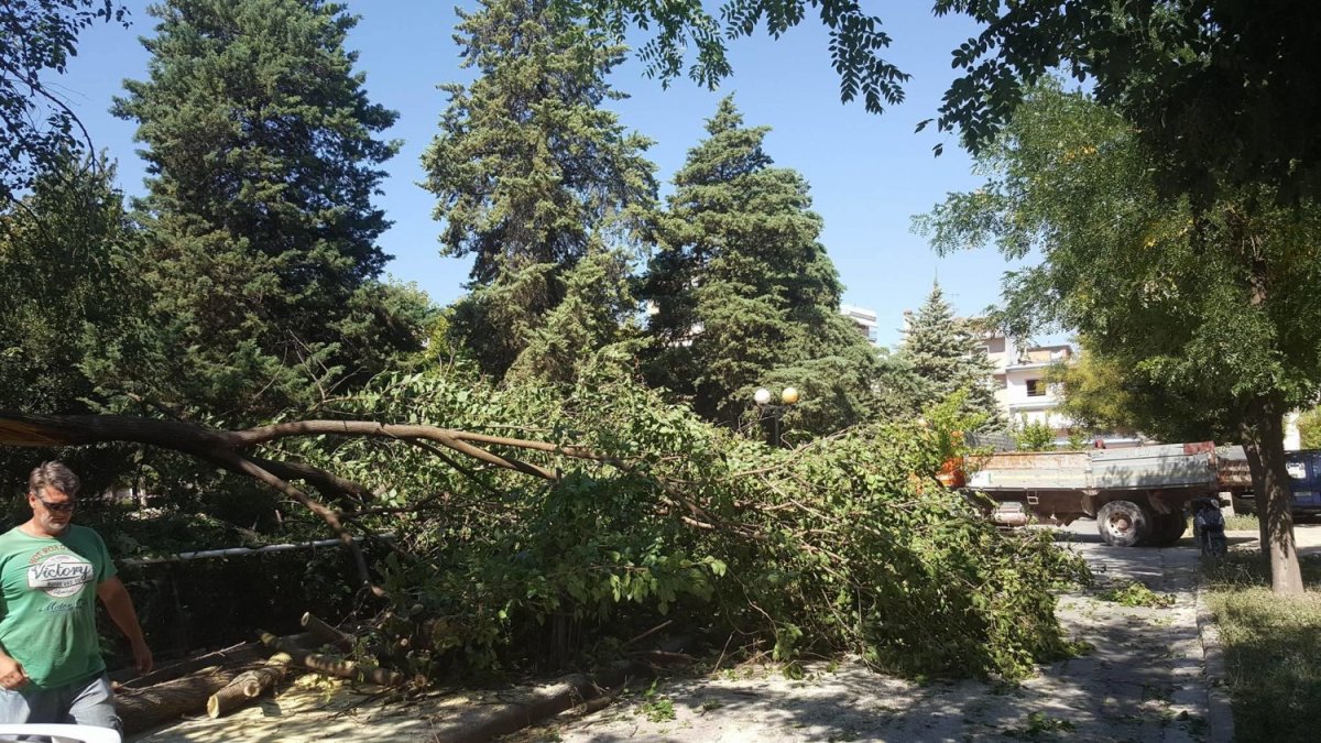 φωτ. αρχείου