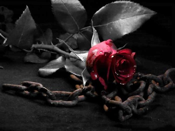 Κόλαφος… Κάθοδος στα κενά της μνήμης… Του Βαγγέλη Κουρτεσιώτη