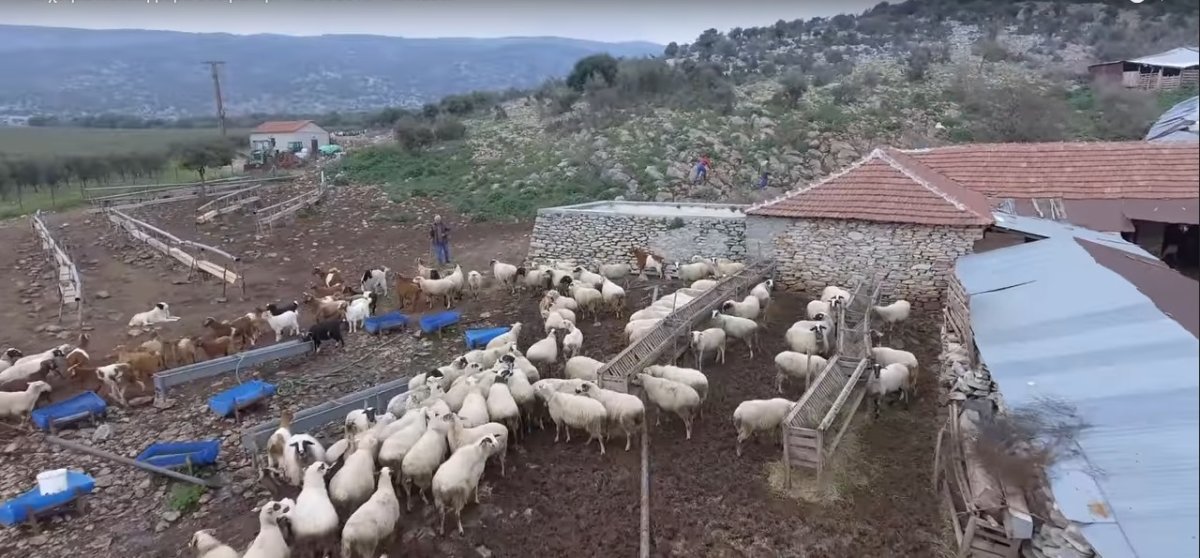φωτ. αρχείου