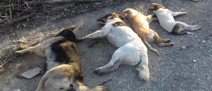 Φωτ. αρχείου