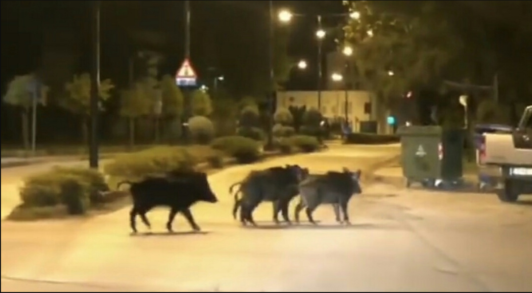 φωτ. αρχείου