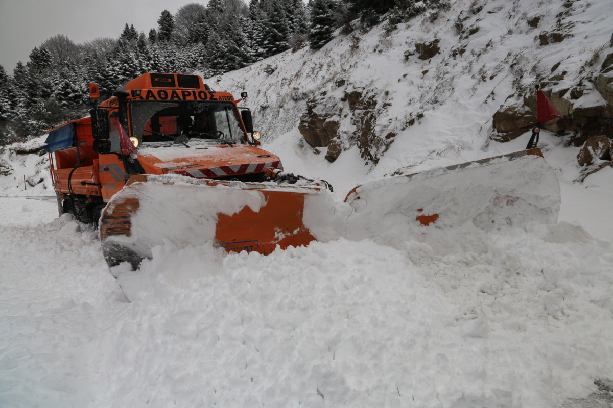 (φωτ. αρχειου EUROKINISSI/ΛΕΩΝΙΔΑΣ ΤΖΕΚΑΣ)