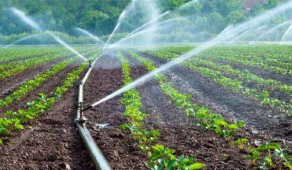 Δήμος Τυρνάβου: Υποβολή αιτήσεων για άρδευση αγροτεμαχίων