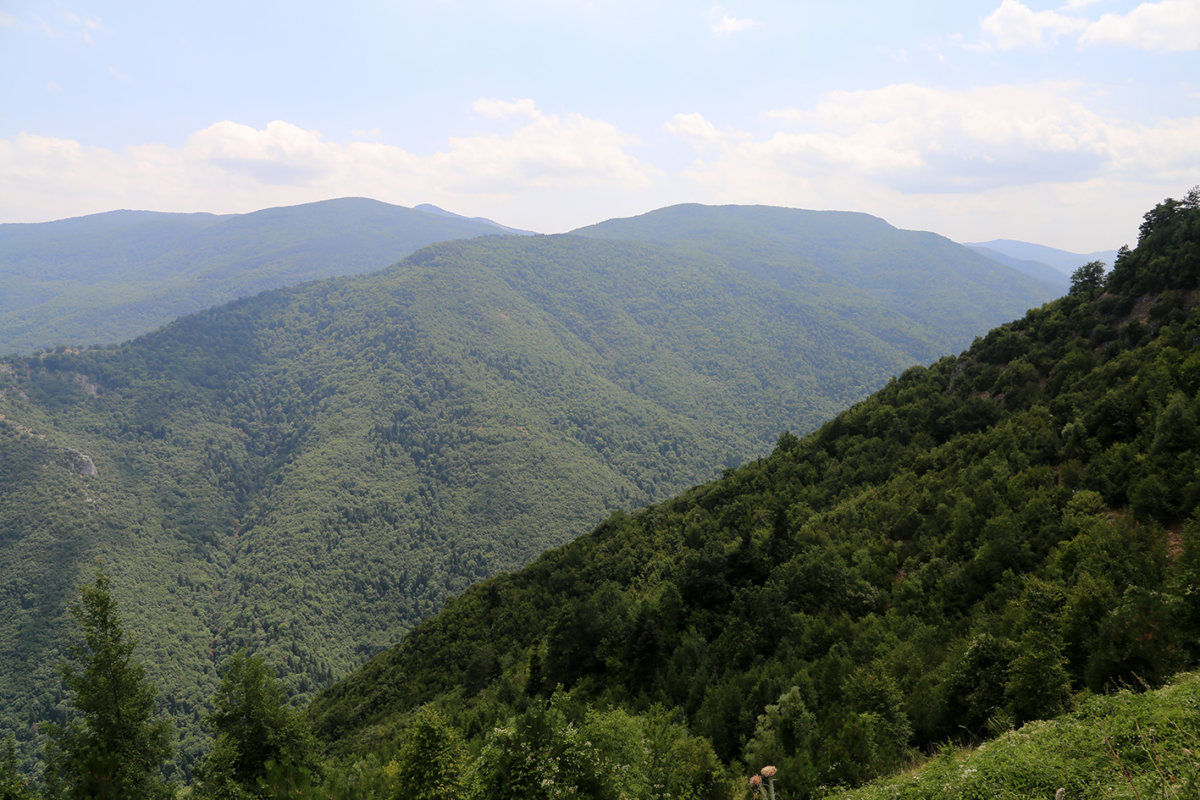 φωτ. αρχείου