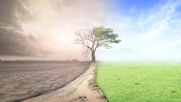 Κλιματικό σοκ στην ελληνική γεωργία έως το 2060: Πόσο πραγματικά κινδυνεύουμε;