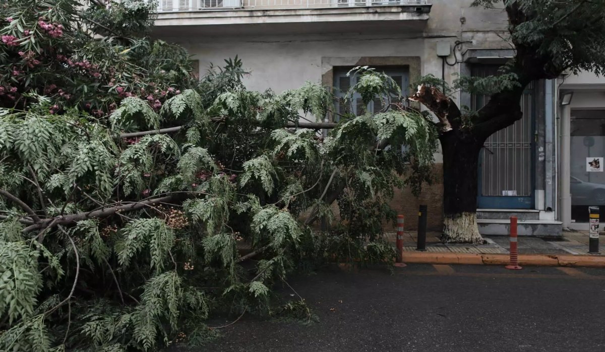 φωτ. αρχείου