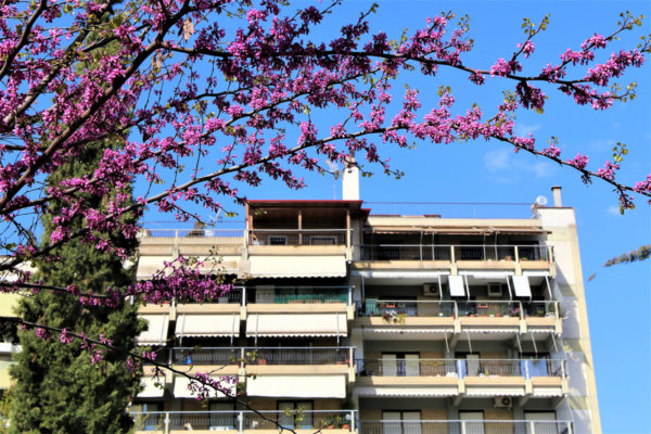 Με «30αρια» η Τρίτη στη Θεσσαλία