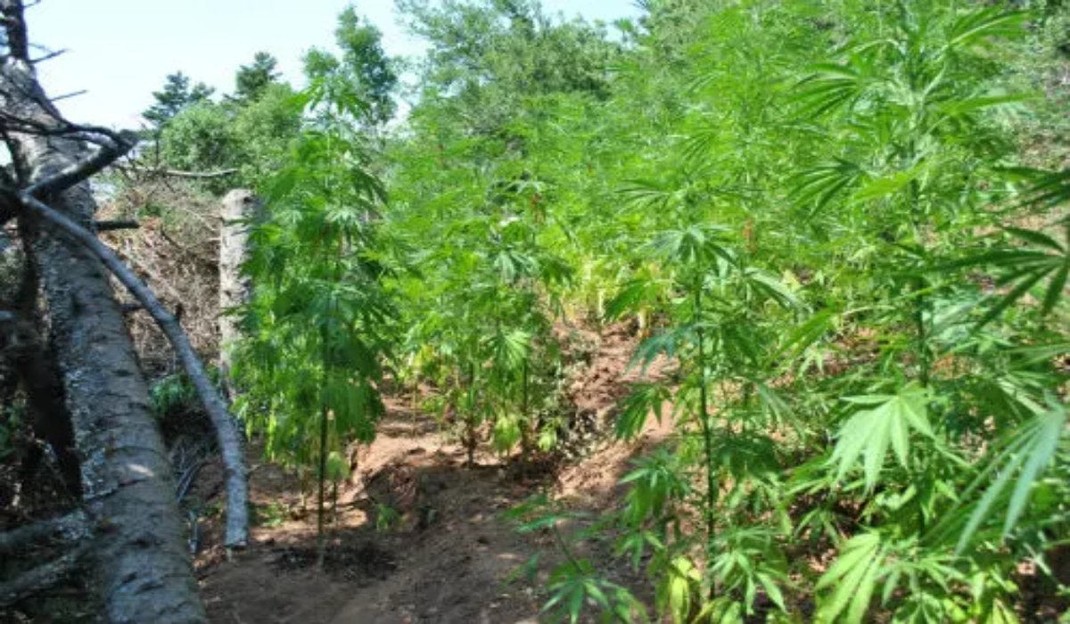 φωτό αρχείου