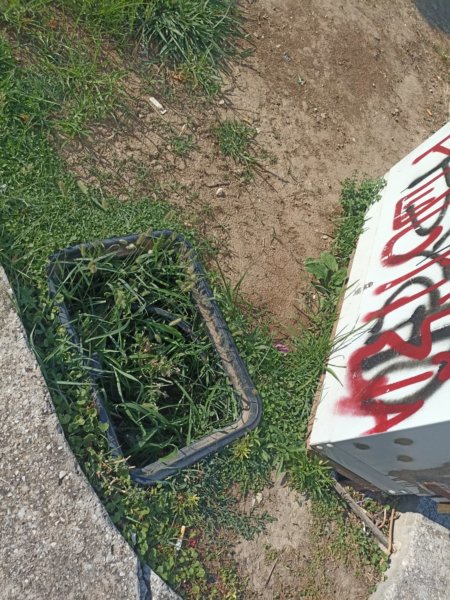 Εικόνες εγκατάλειψης στη συνοικία της Νέας Πολιτείας…
