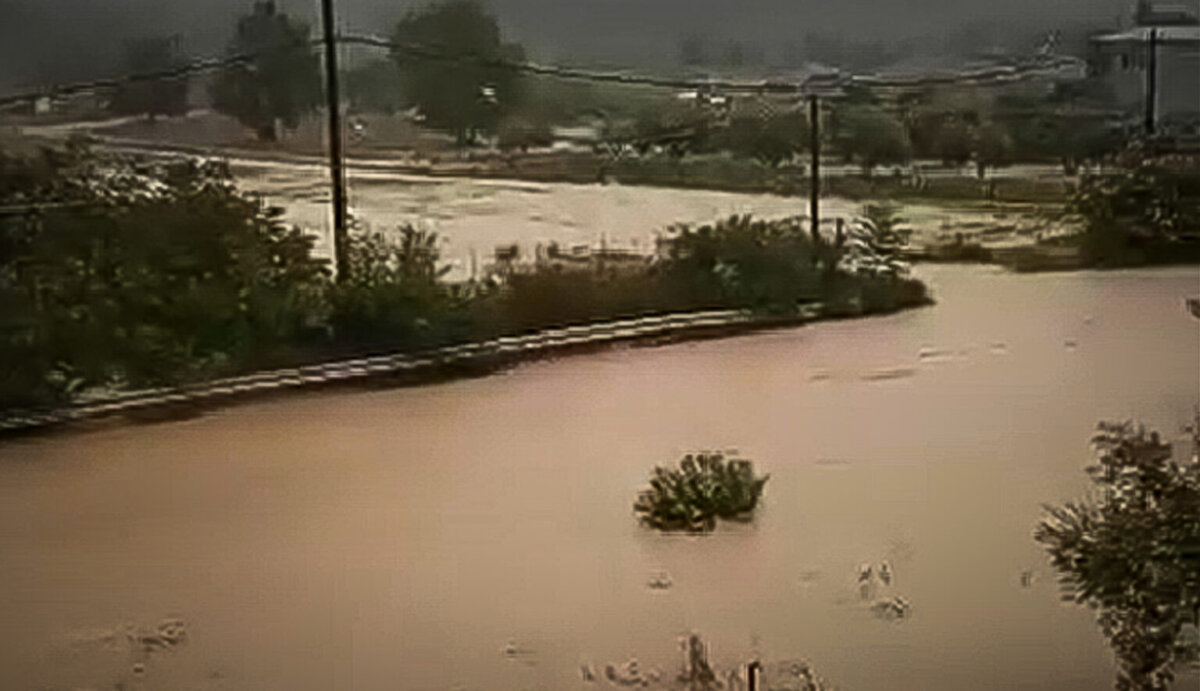 φωτό:  EUROKINISSI