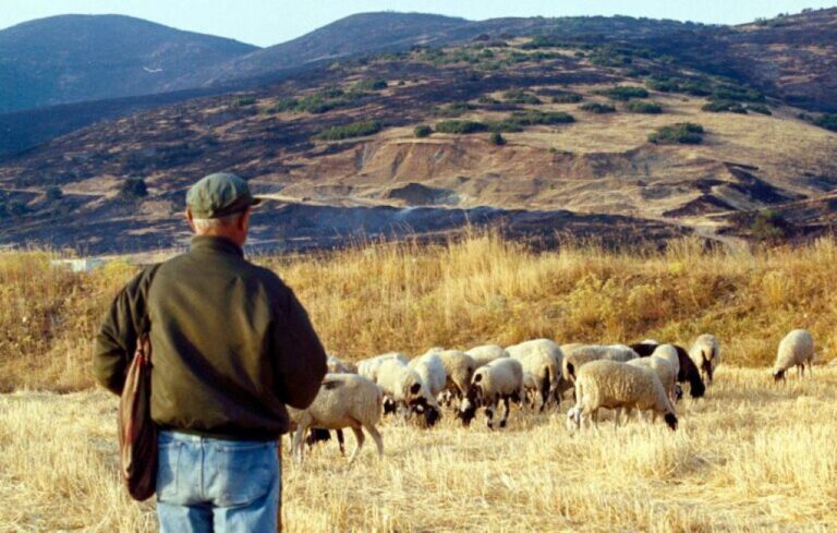φωτ. αρχείου