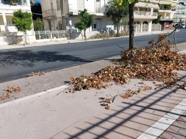 Προβληματίζουν τα κλαδιά πάνω στην Ιωαννίνων (φωτ.)