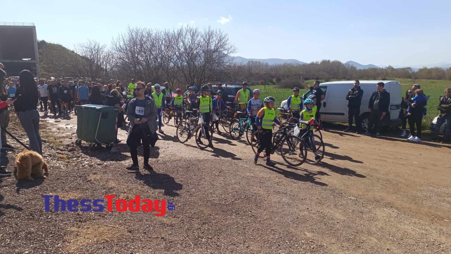 202403031426213135 | Lamianow.gr