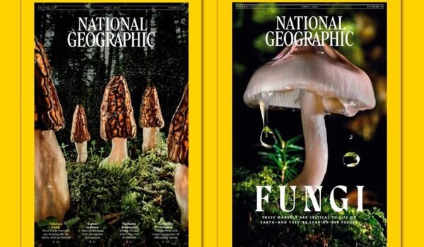 Στα εξώφυλλα του National Geographic φωτογραφίες του φωτογράφου Αγοραστού Παπατσάνη από τη Δεσκάτη