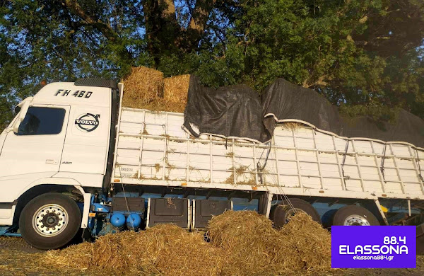 202407140827078766 | Lamianow.gr