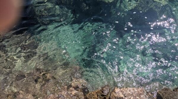 Ρήνεια: Μυστήριο και μαγεία σε ένα νησί που το γνωρίζουν ελάχιστοι