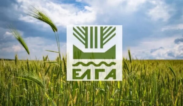 Πληρωμή 6,4 εκ. € σε δικαιούχους παραγωγούς για ζημιές από τον Παγετό Άνοιξη 2025