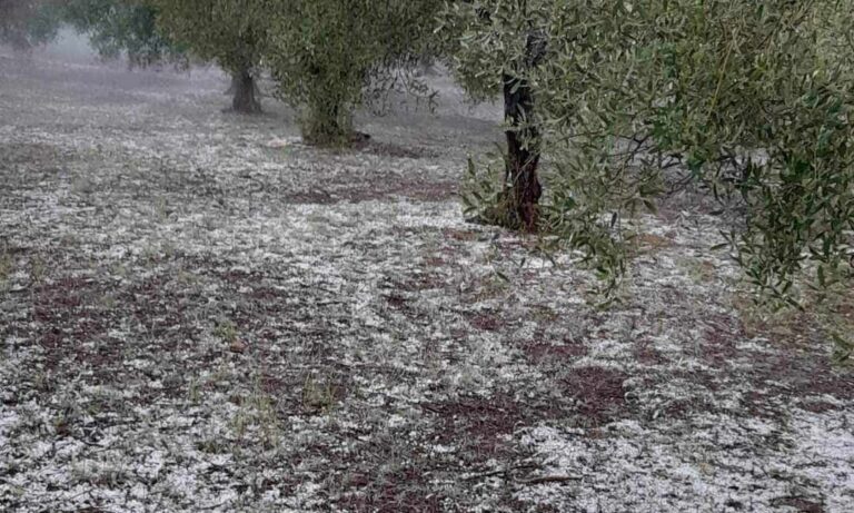 φωτ.αρχειου