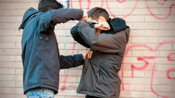 Βία στην Κοινωνία και στο Σχολείο, Εφηβεία και Οικογένεια