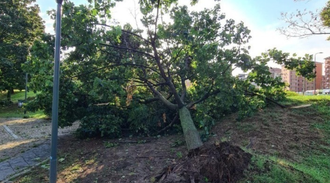 φωτ. αρχείου