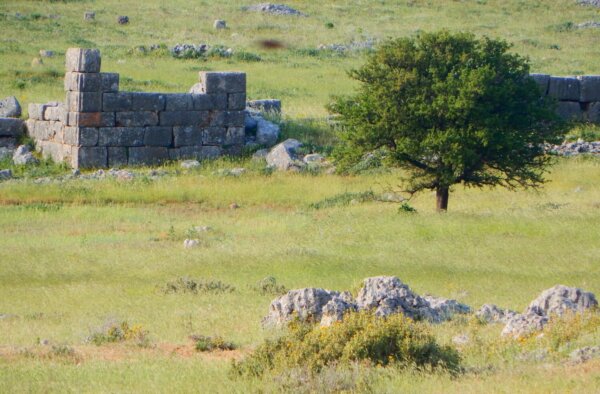 «Μάχη των Πλαταιών»: η τελευταία των περσικών Πολέμων