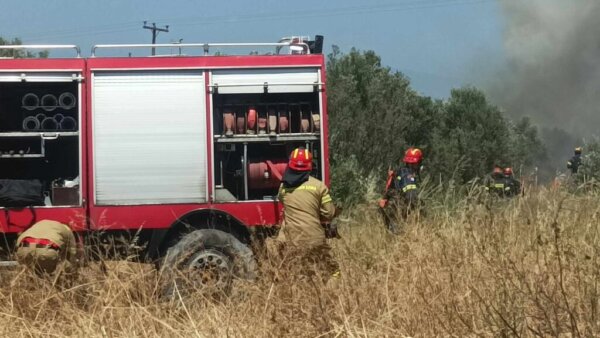 Κινητοποίηση της ΠΥΛ για πυρκαγιά στους Γόννους