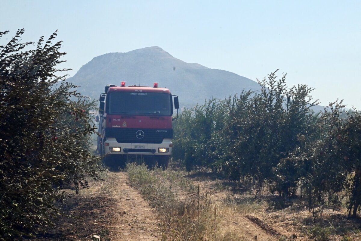 φωτό: ΒΑΣΙΛΗΣ ΠΑΠΑΔΟΠΟΥΛΟΣ /EUROKINISSI