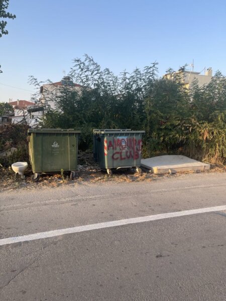Εικόνες ντροπής στον κεντρικό δρόμο των Μεσαγγάλων