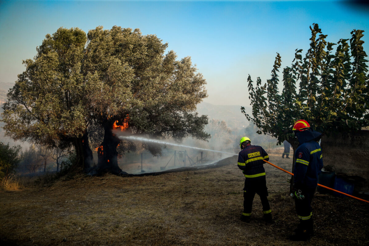 Πυρκαγιά στη περιοχή της Κερατέας στην Αττική. Παρασκευή 8 Αυγούστου 2025. (ΣΩΤΗΡΗΣ ΔΗΜΗΤΡΟΠΟΥΛΟΣ/EUROKINISSI)