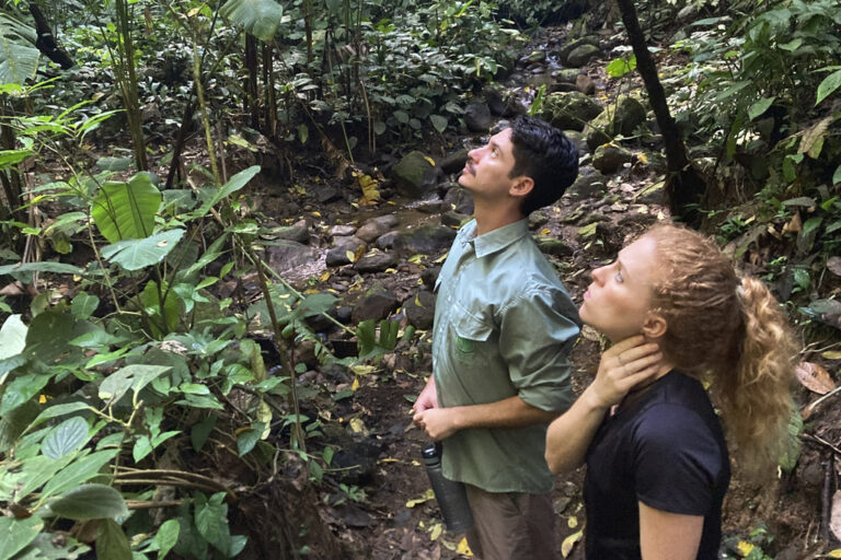 FILE - Biologists Jim Córdoba-Alfaro, left, and Jenna Lawson listen for the sounds of endangered Geoffrey's spider monkeys at the private Rio Nuevo Nature Reserve on the Osa Peninsula in Costa Rica, on March 20, 2023. (AP Photo/Matt O'Brien, File)