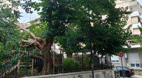 Απαιτείται άμεση παρέμβαση…