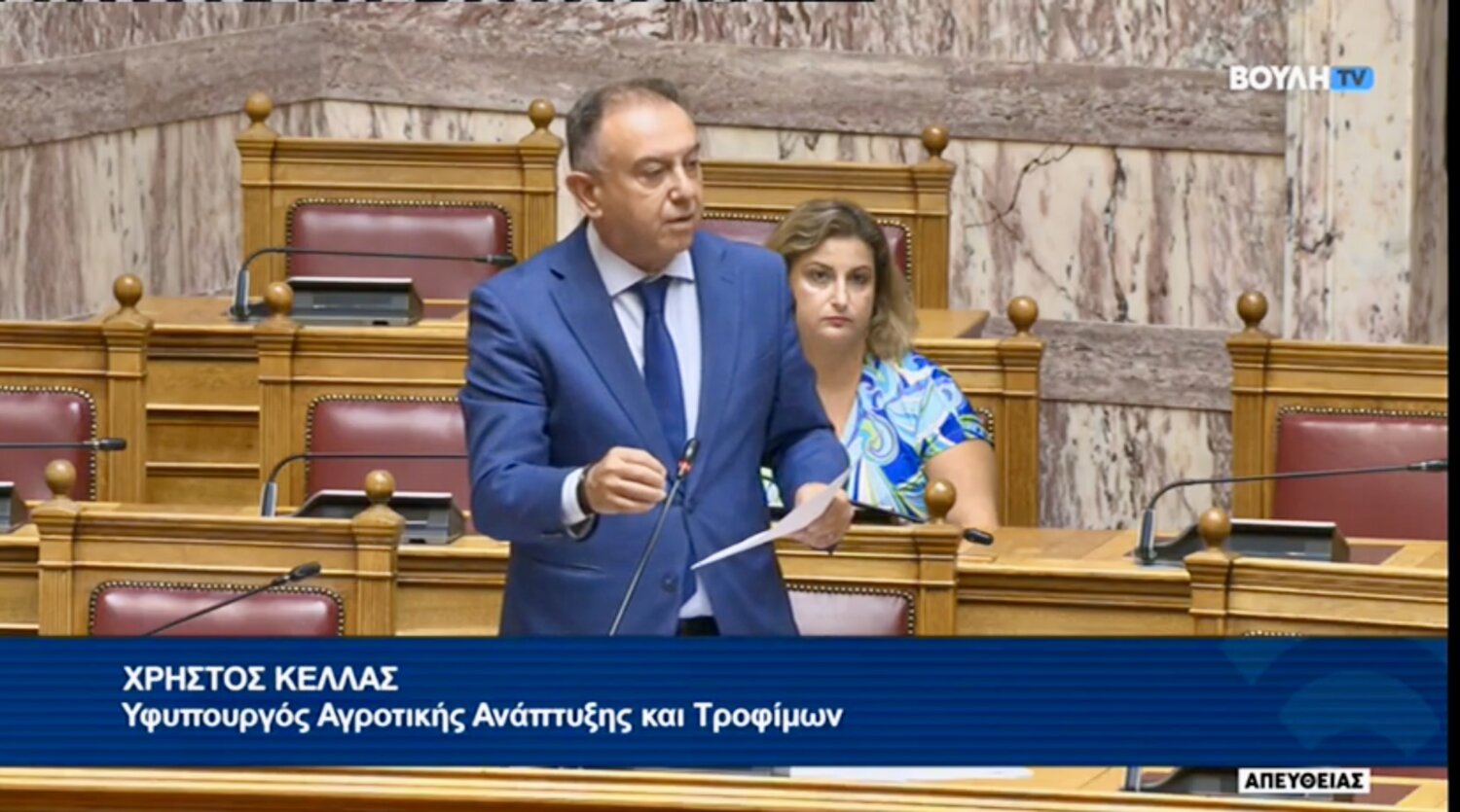 ΔΤ Χρήστος Κέλλας σε Βασίλη Κόκκαλη στη Βουλή Δεν υπάρχει αποτελεσματικό εμβόλιο