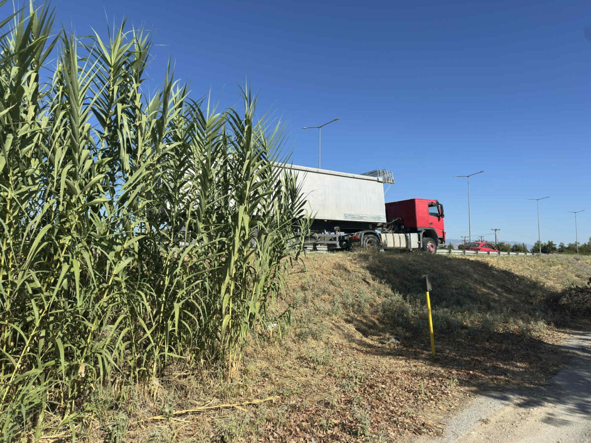 φωτ. αρχείου