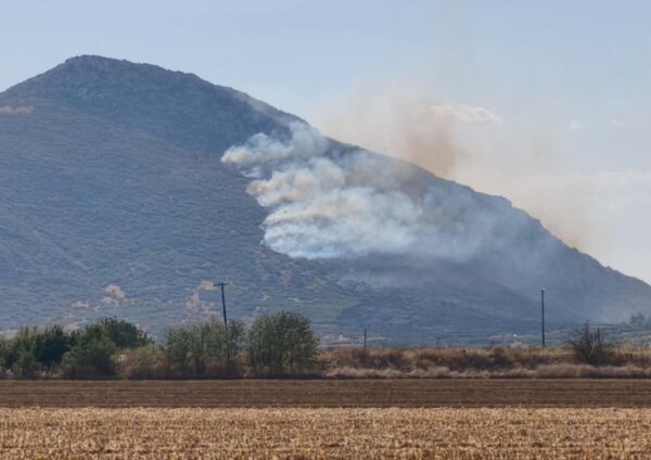 Φάρσαλα: Εναέρια μέσα και πυροσβεστική επιχειρούν στο όρος Σούρλα