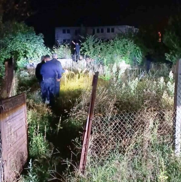 Αρκούδα εμφανίστηκε στον περιφερειακό Τρικάλων