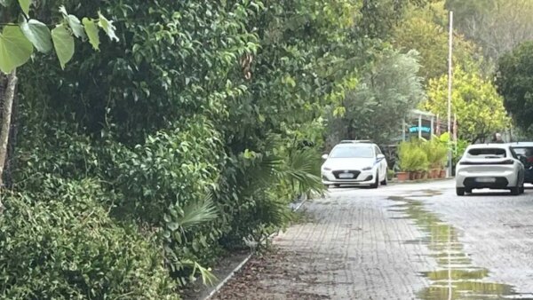 Φοινικούντα: Ελεύθεροι χωρίς όρους οι δύο κατηγορούμενοι για υπόθαλψη εγκληματία – Ζητούν ξεχωριστή δίκη