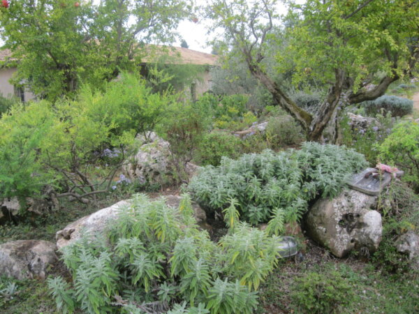 Νέα τάση αλλά και ευρωπαϊκή νόρμα η επιστροφή της φύσης στις πόλεις