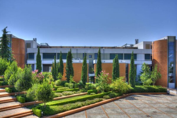 Το ΔΣ του Συλλόγου Μελών ΔΕΠ του Τμήματος Ιατρικής, ΠΘ για το τραγικό συμβάν με τις μαθήτριες στην Ηλιούπολη