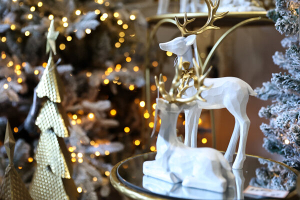 Δ. Κιλελέρ: Ανάβουν τα φώτα στο Χριστουγεννιάτικο δέντρο – Λαμπρή γιορτή στη Νίκαια