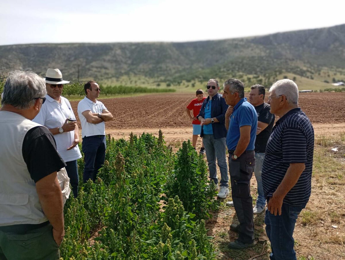 Περισσεύουν τα χαμόγελα στην οικογένεια του Θανάση Παπαναγιώτου στο Ζάρκο Τρικάλων μετά την συγκομιδή της κινόα
