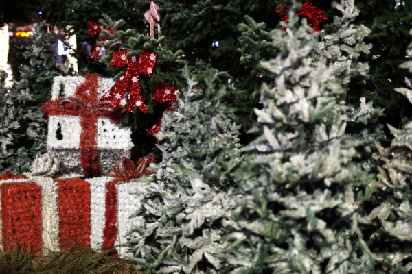 Ανάβουν τα φώτα στο Χριστουγεννιάτικο Δέντρο της πλατείας Νεάπολης