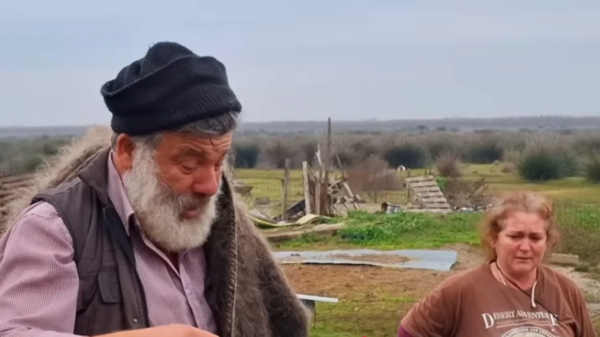 «Δεν υπάρχει μελέτη που να αναγνωρίζει την φυλή αιγοπροβάτων του Ρουμλουκίου»