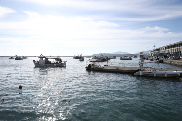 Βόλος: Αποχώρησαν τα τρακτέρ από την κεντρική είσοδο του λιμανιού μετά το τελεσίγραφο της Εισαγγελίας